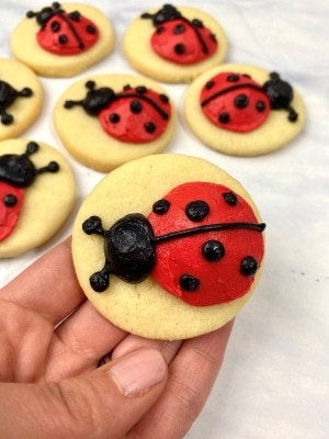 Cute Mini Ladybug Sugar Cookies