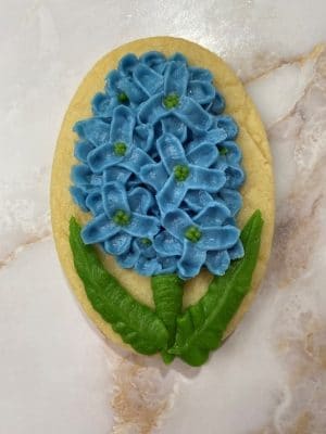 Buttercream Hyacinth