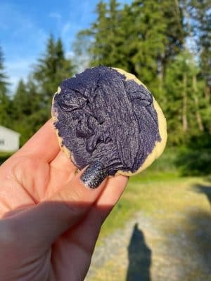 Dark Violet Buttercream to Pass as Black Buttercream Outdoor