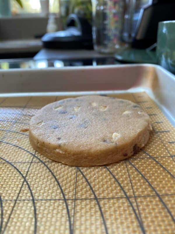 flattened smores sugar cookie