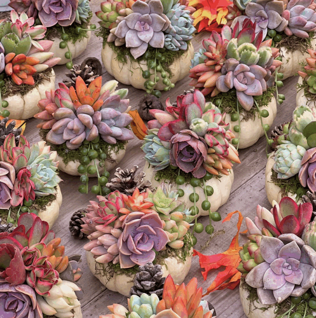 fall bonfire party table decor